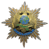 Международный орден «INTERSAFETY» Золотой орел. За вклад в развитие психологии и помощь людям. №314