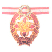 Почетная награда за выдающиеся заслуги в деятельности укрепления психического и физического здоровья нации, популяризация традиционных систем оздоровления. Международная профессиональная ассоциация «Психология без границ» №120 